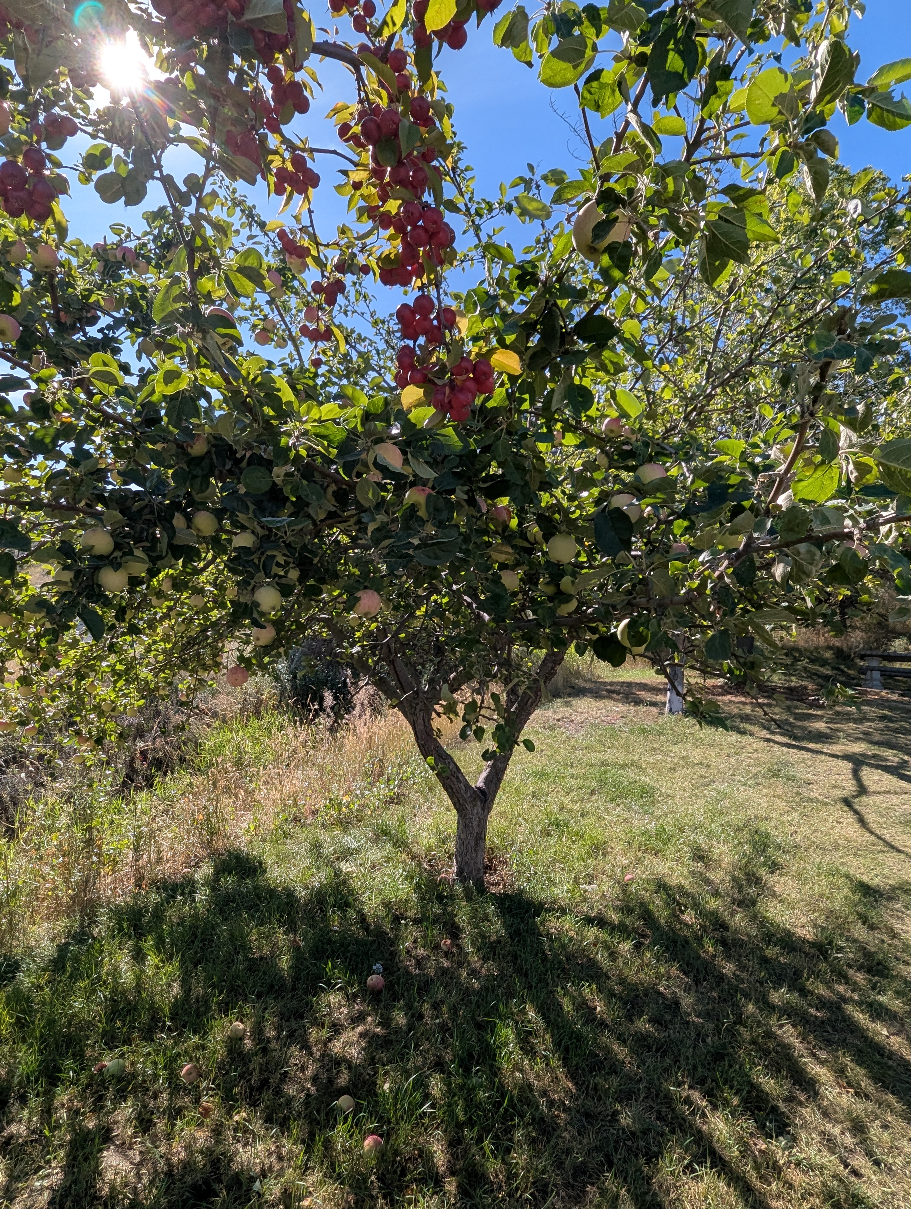 PXL_20250821_171940304.jpg