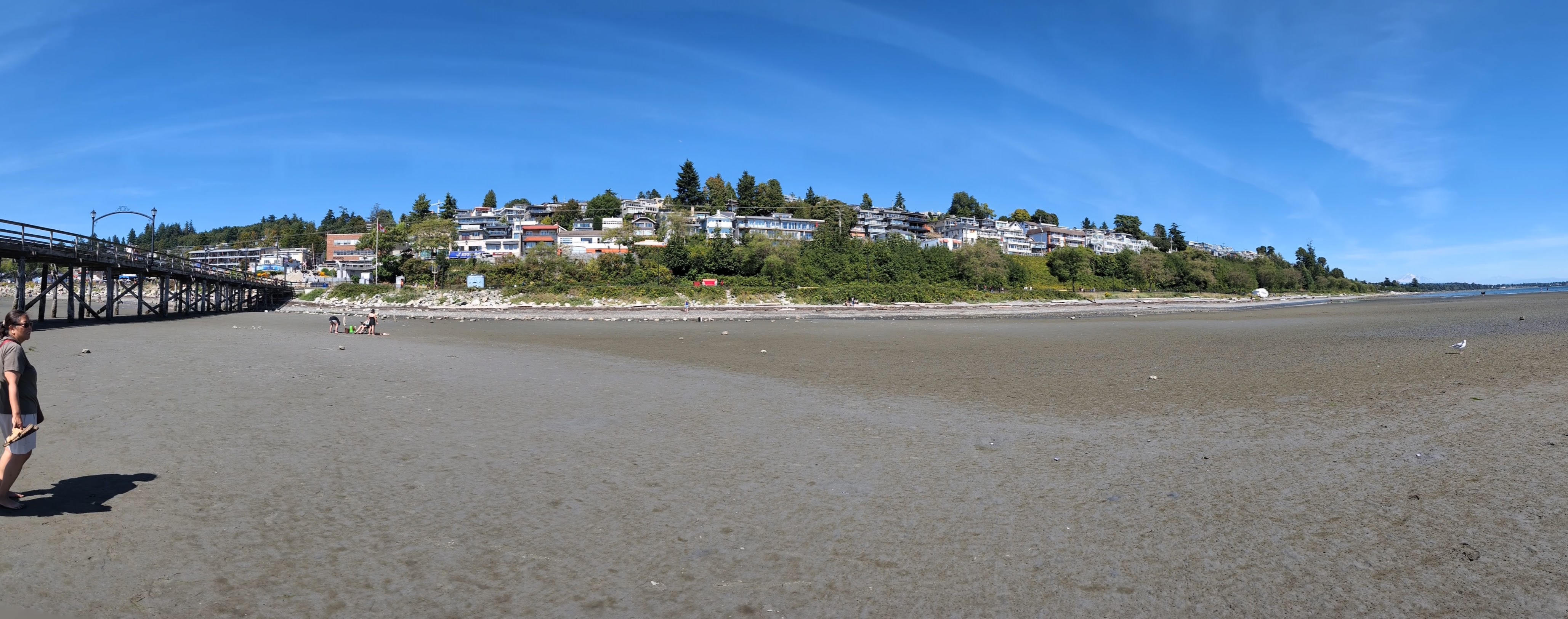 PXL_20250821_213523982.PANO.jpg