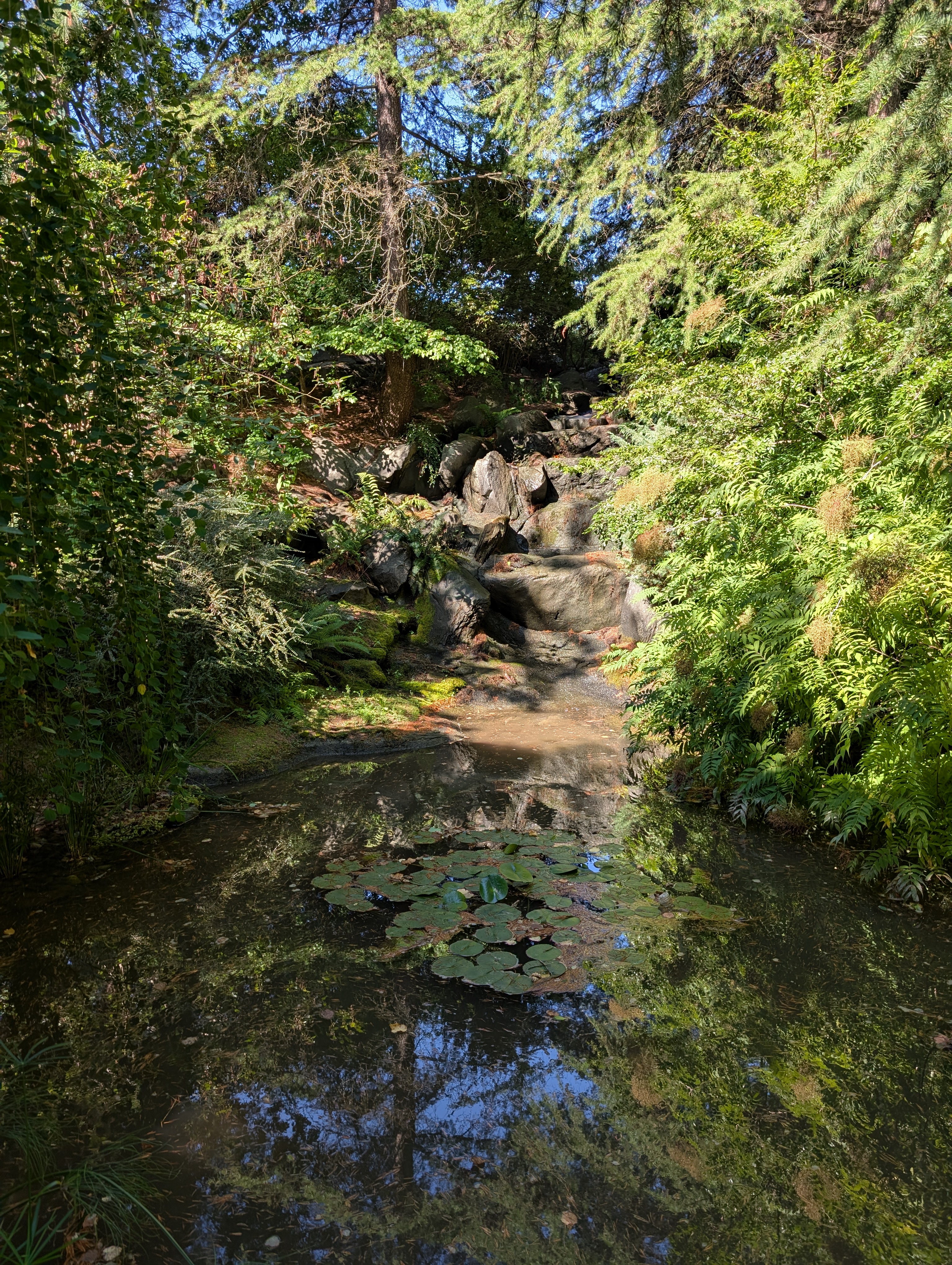 PXL_20250822_175936145.MP.jpg