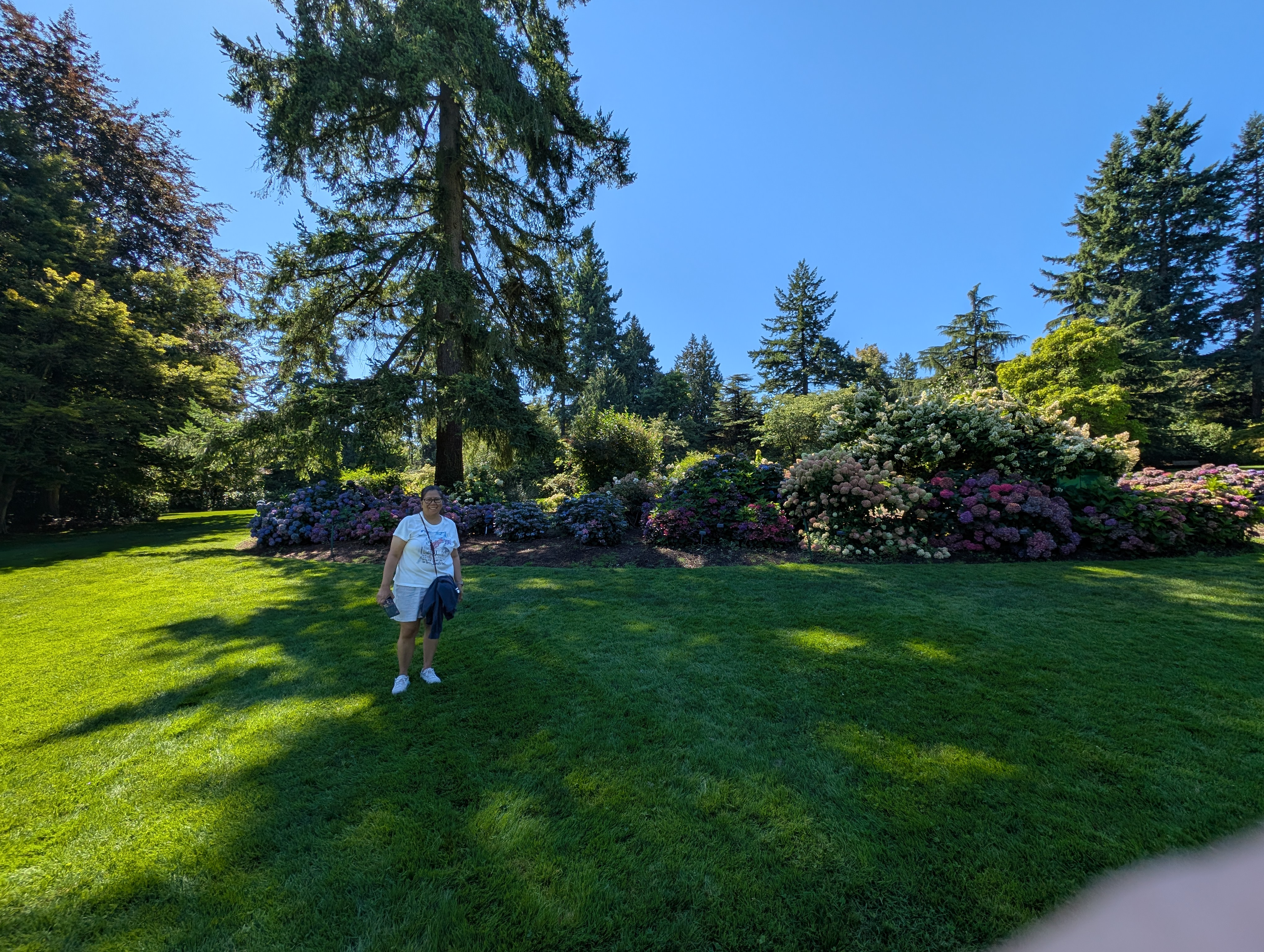 PXL_20250822_184859751.MP.jpg