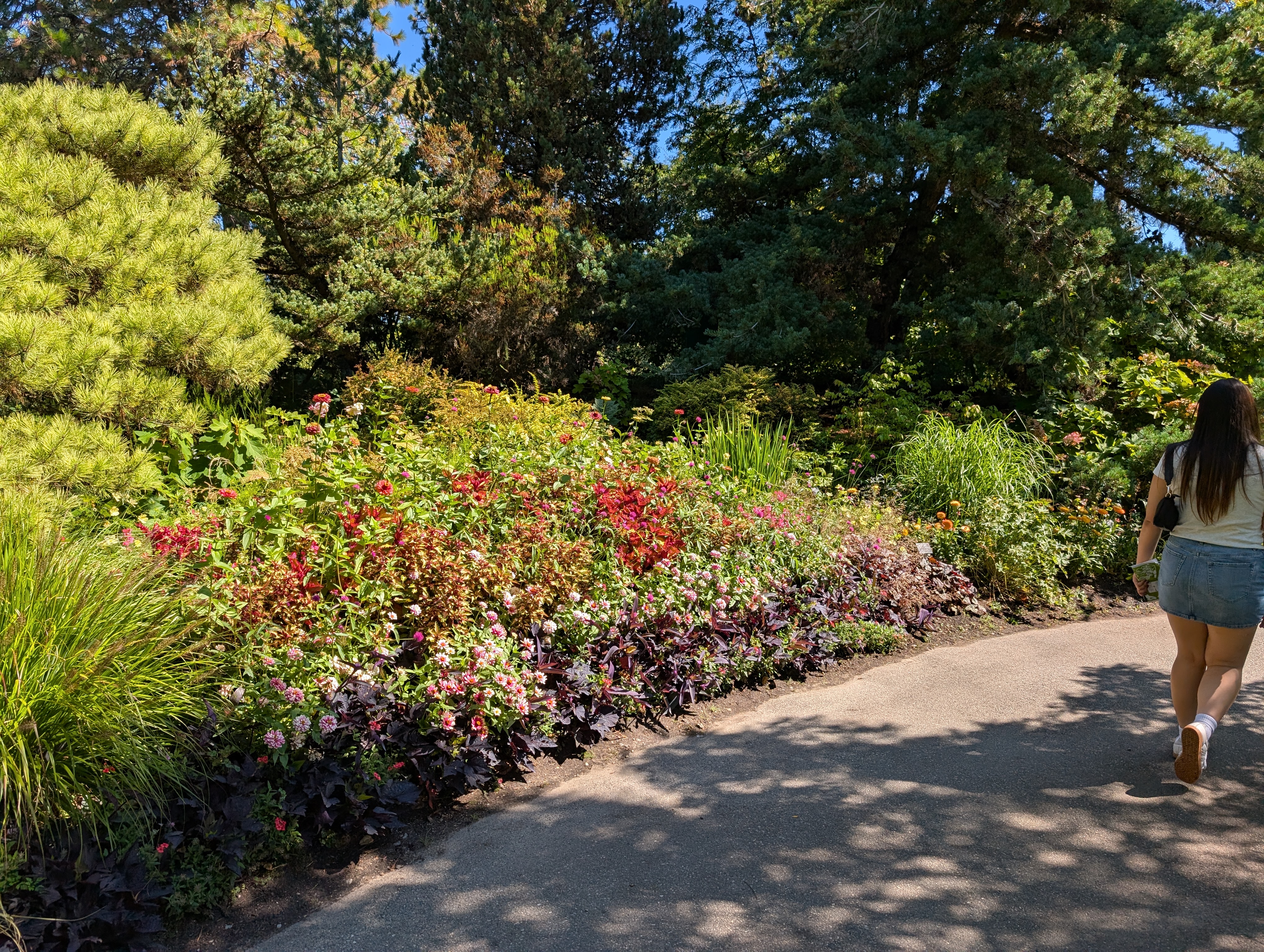 PXL_20250822_191126885.MP.jpg