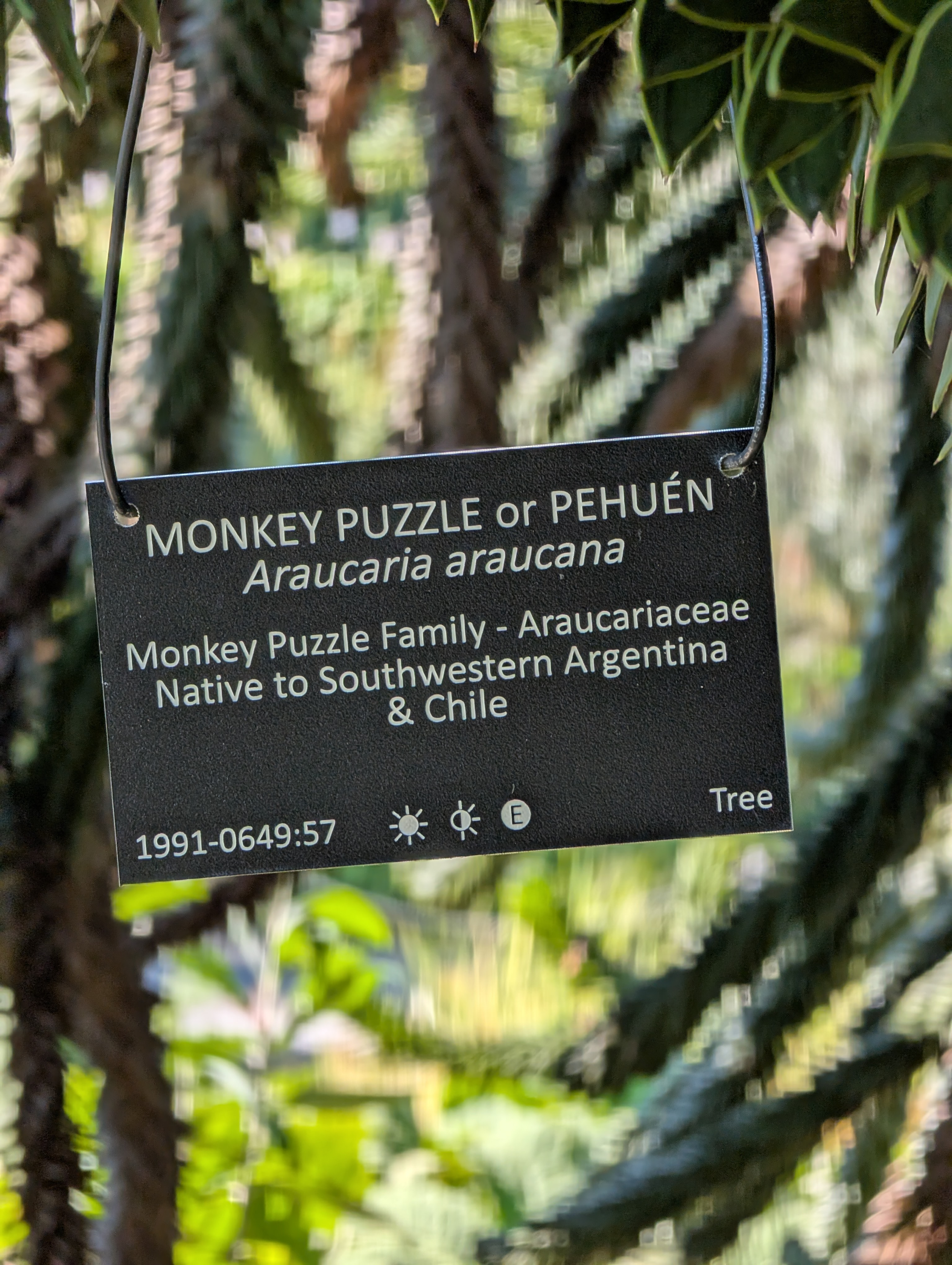 PXL_20250822_193245519.MP.jpg