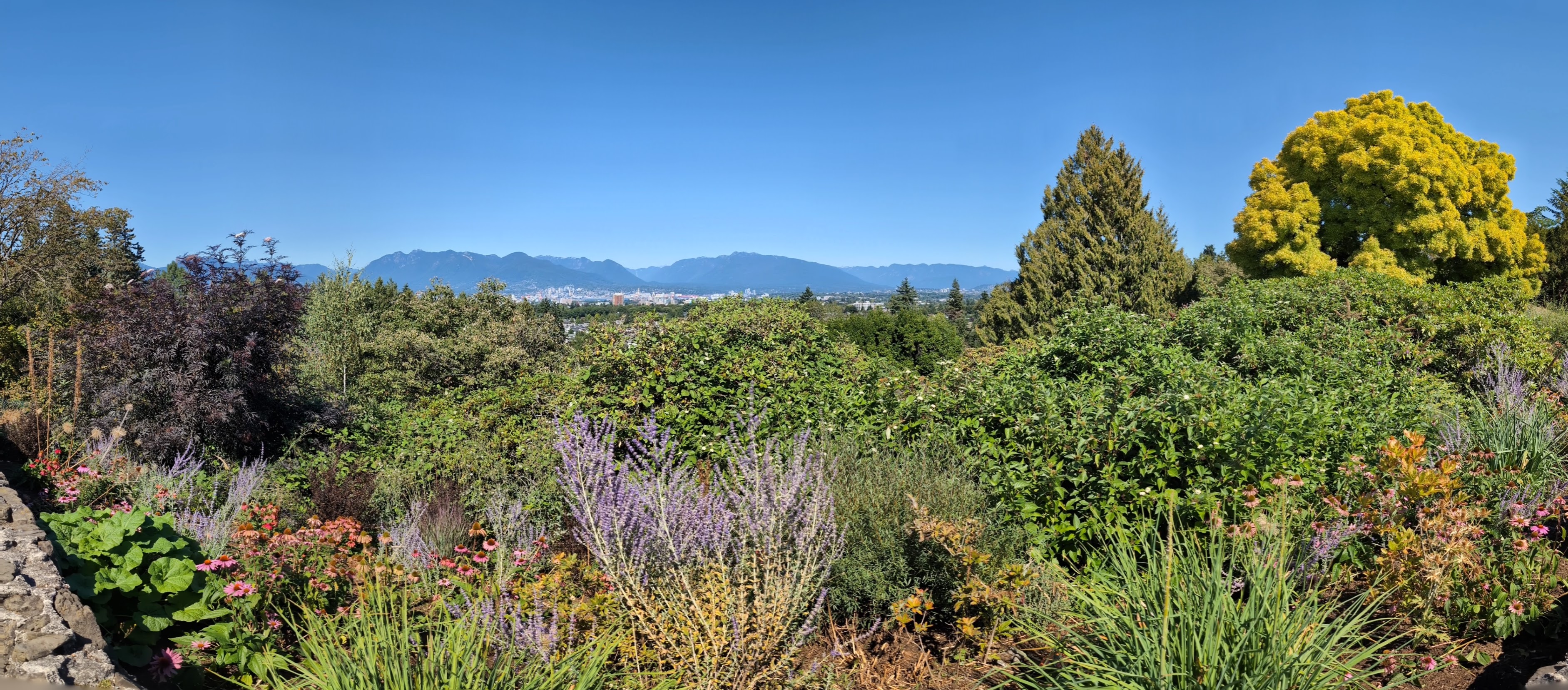 PXL_20250822_215549336.PANO.jpg