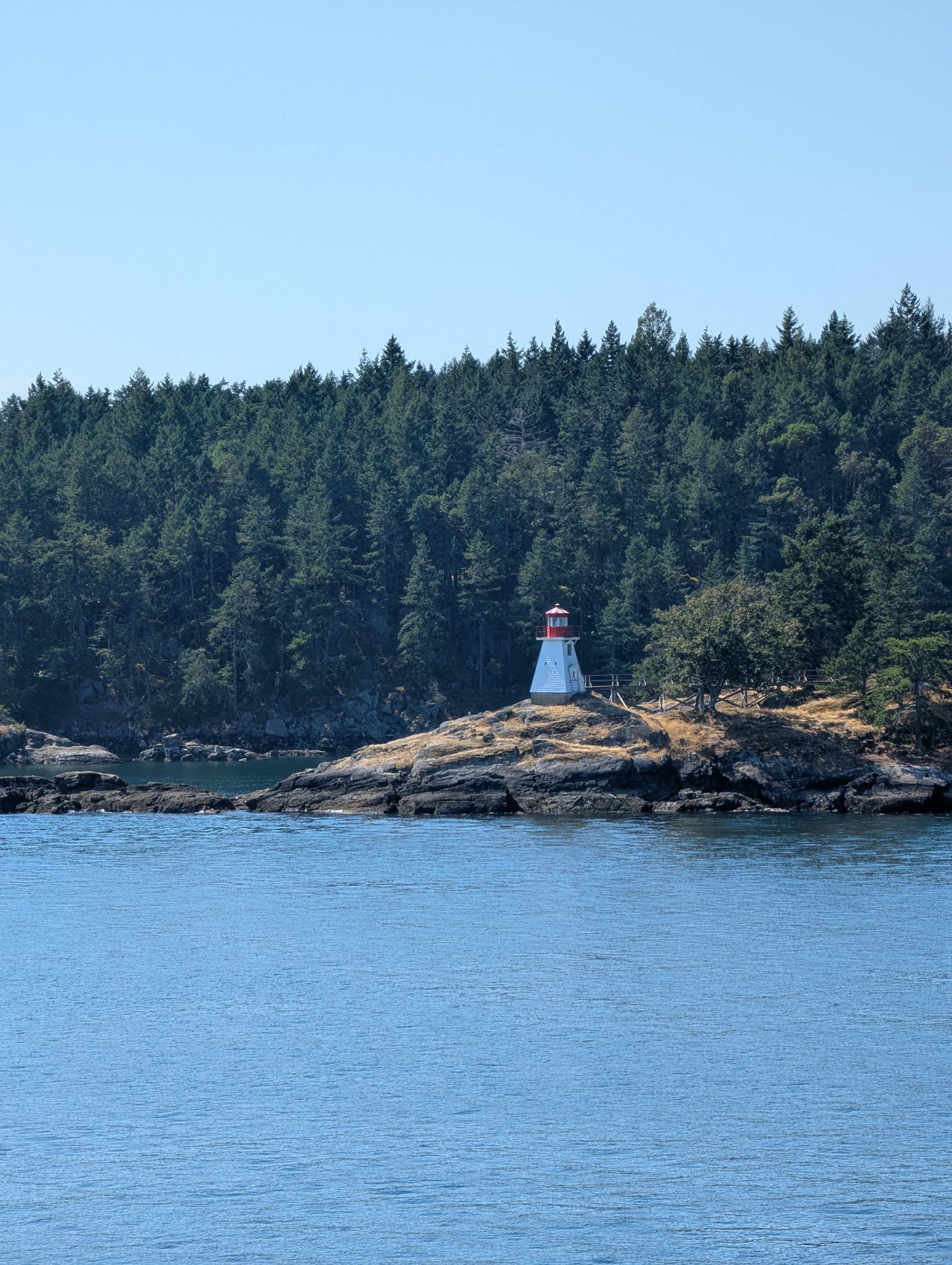 PXL_20250826_203722351.jpg
