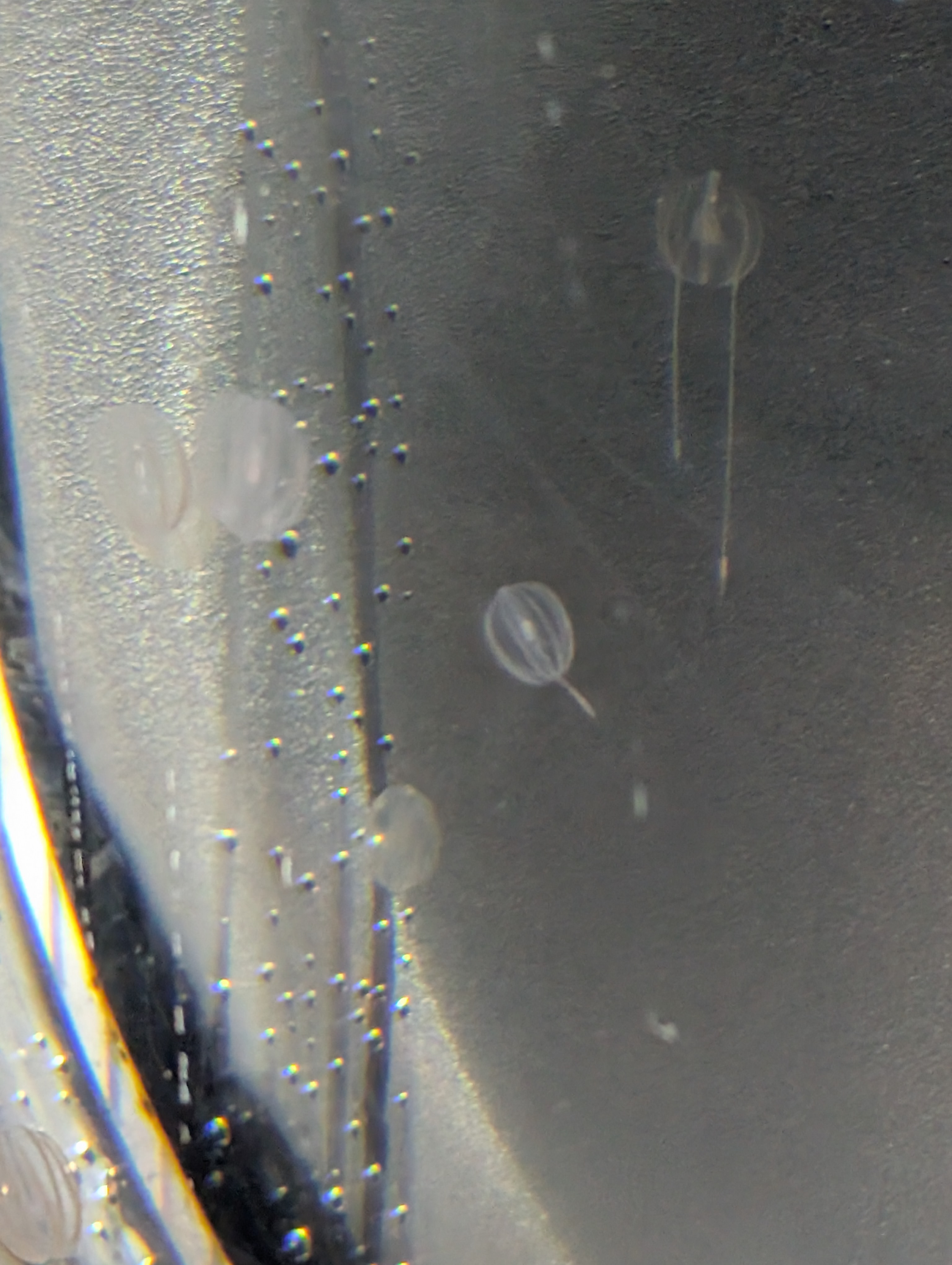 PXL_20250827_201329129.MP.jpg
