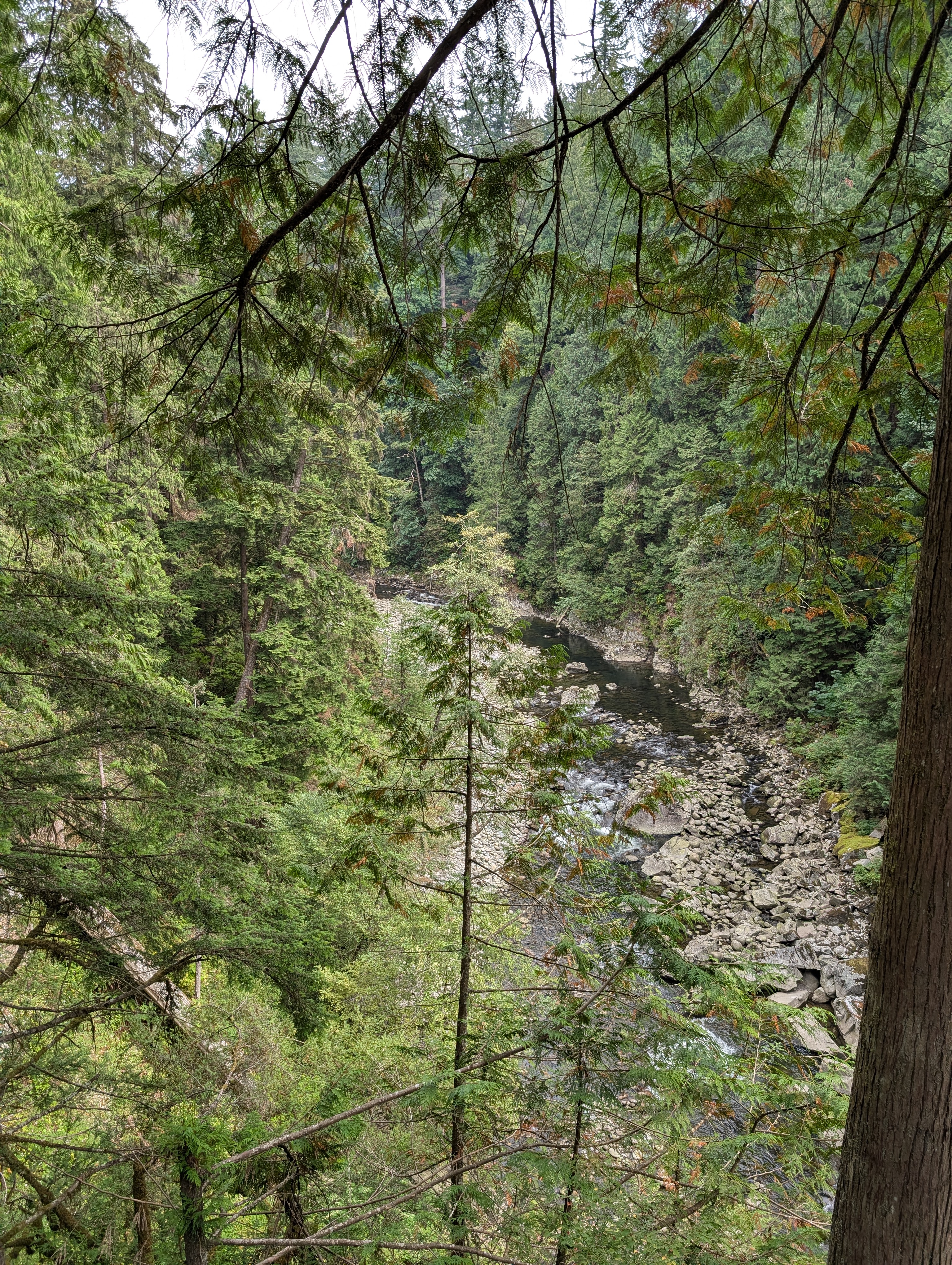 PXL_20250828_194252720.MP.jpg